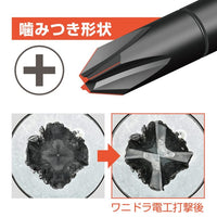Anex Screw breaker screwdriver Wani Dora +2×100